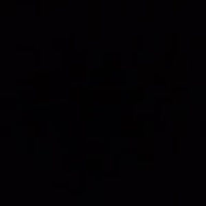 Meet your Posher, Rosie